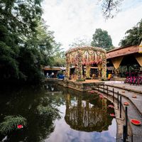 Art, Antiques and Eclectic Stories at The Tamarind Tree